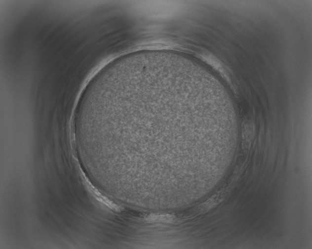 X0000082931466200702222206