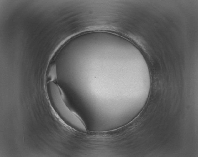 X0000082931468200702222206