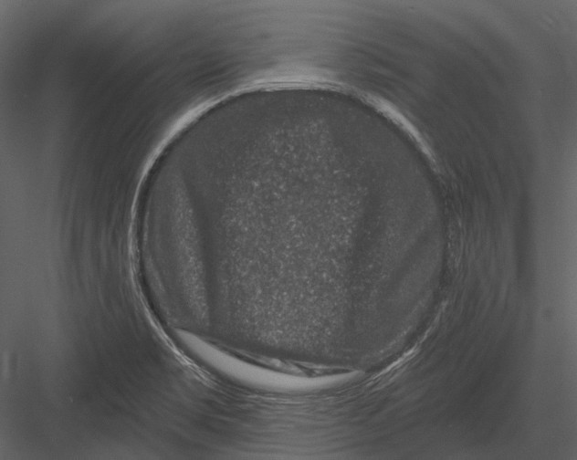 X0000082931469200702222206