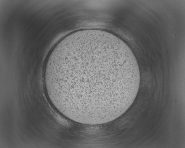 X0000082931470200702222206