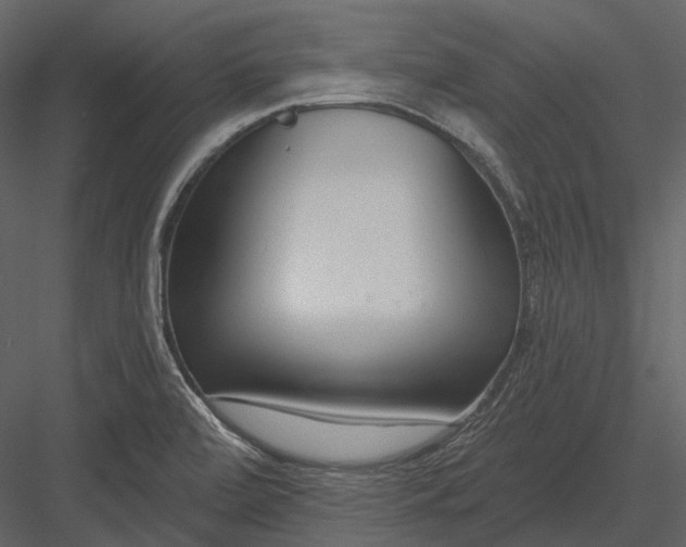 X0000082931472200702222206