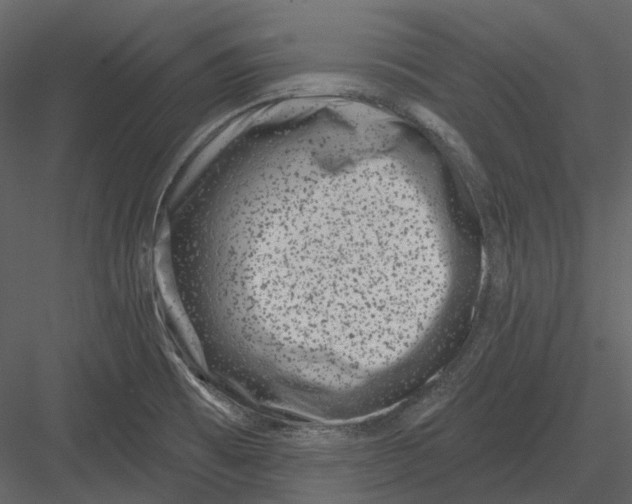 X0000082931473200702222206