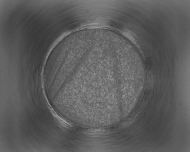 X0000082931474200702222206