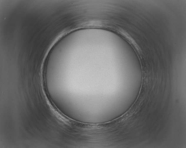 X0000082931475200702222206