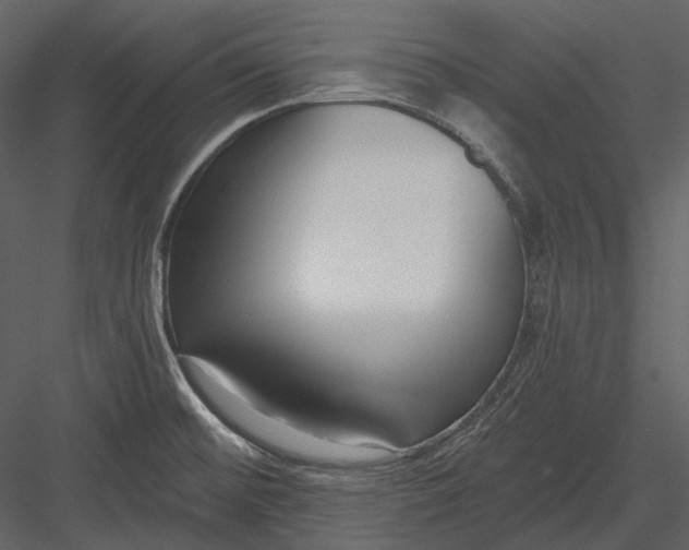 X0000082931476200702222206