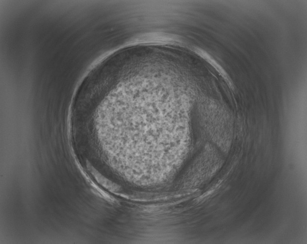 X0000082931477200702222206