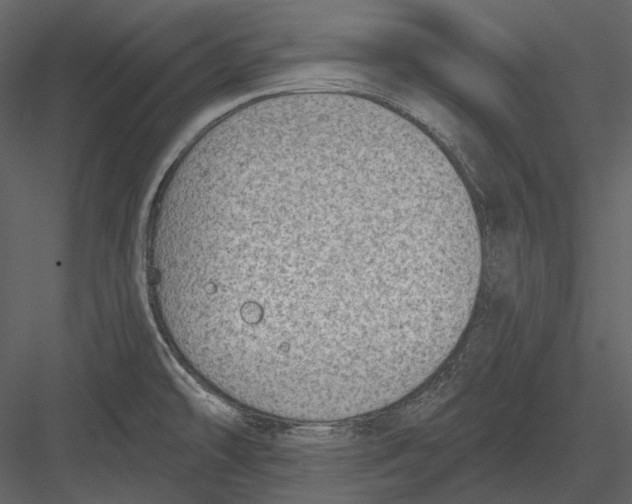 X0000082931478200702222206