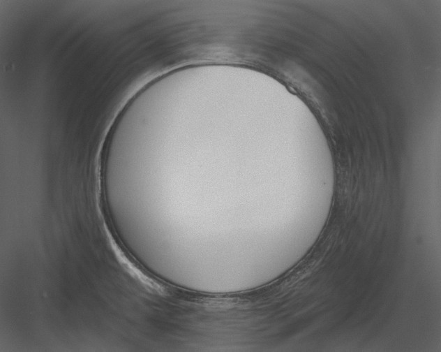 X0000082931479200702222206