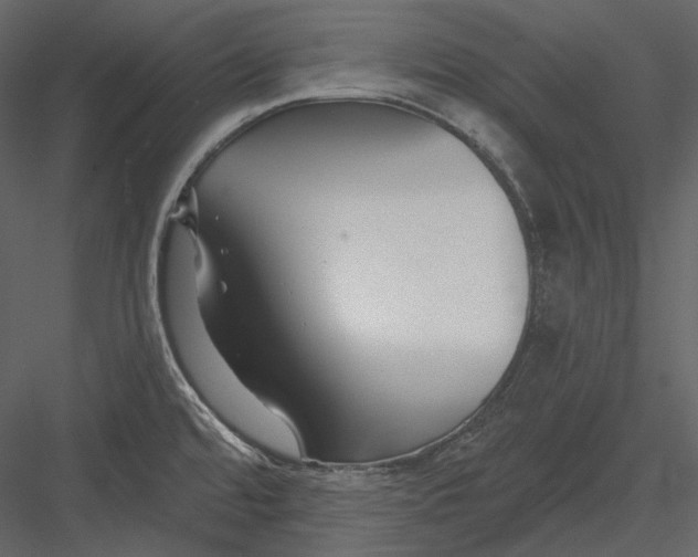 X0000082931480200702222206