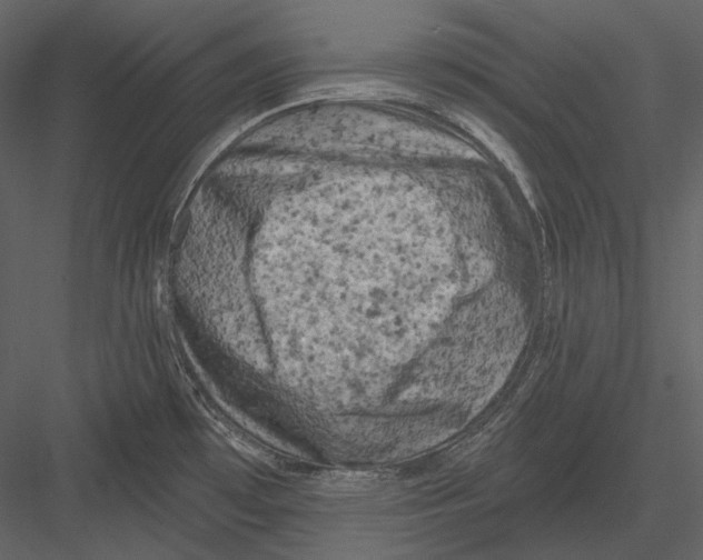 X0000082931481200702222206