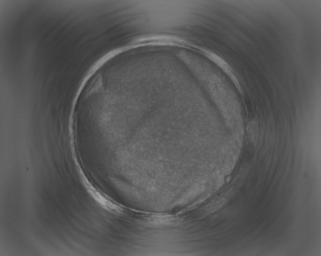 X0000082931482200702222206