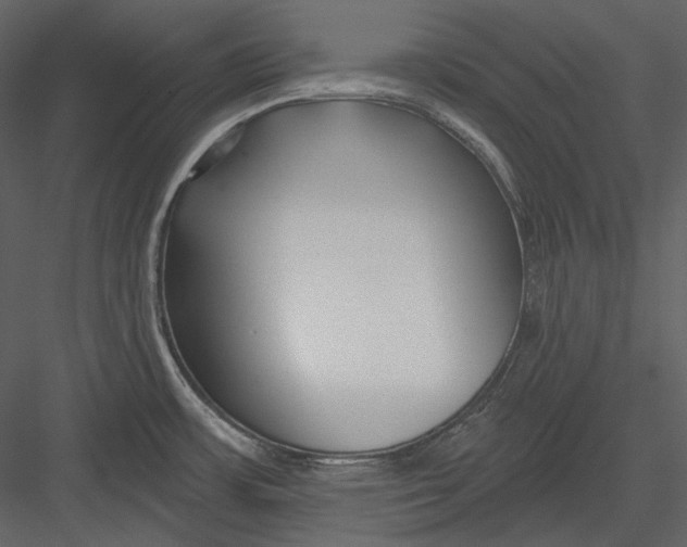 X0000082931483200702222206