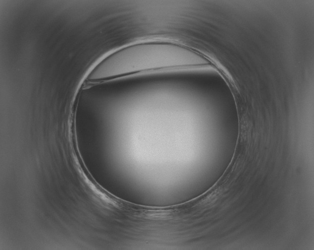 X0000082931484200702222206