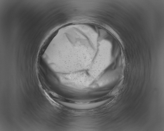 X0000082931485200702222206