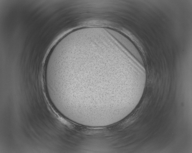 X0000082931486200702222206