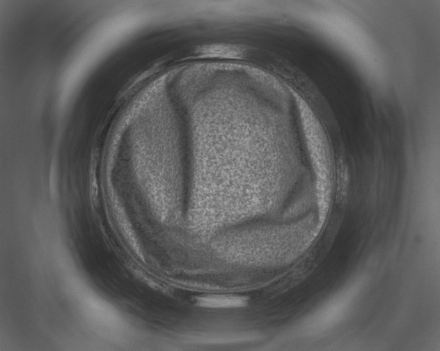 X0000082931487200702222206