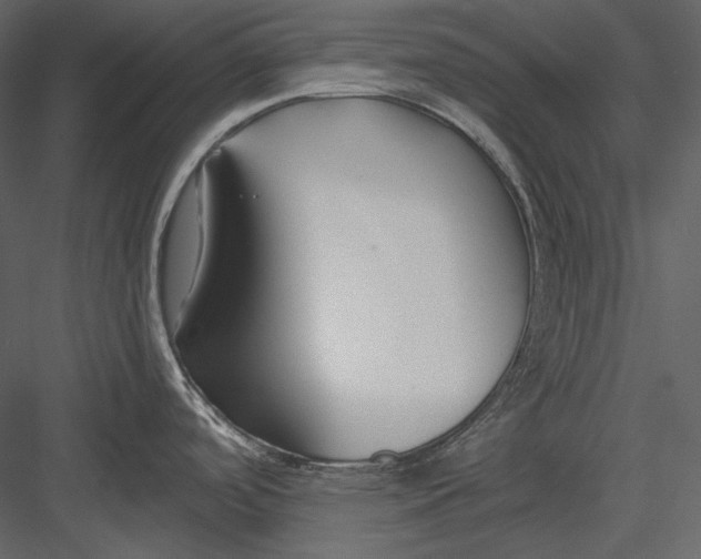 X0000082931488200702222206