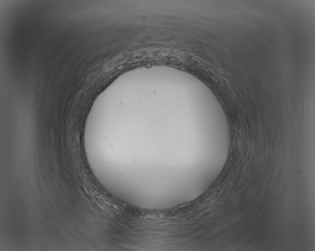 X0000082931489200702222205