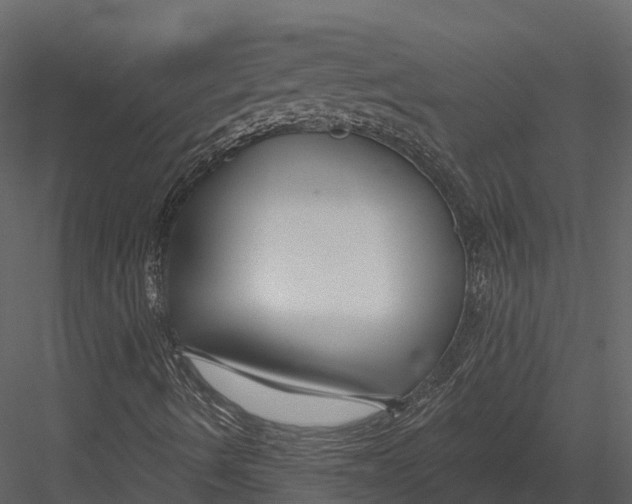 X0000082931490200702222205