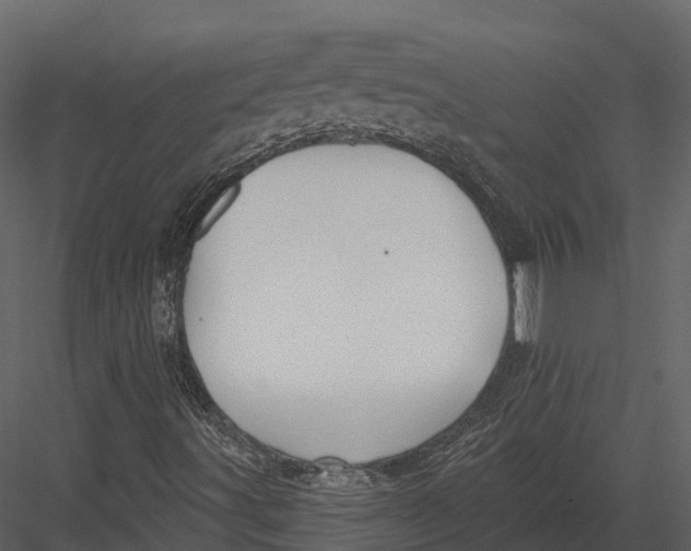 X0000082931491200702222205