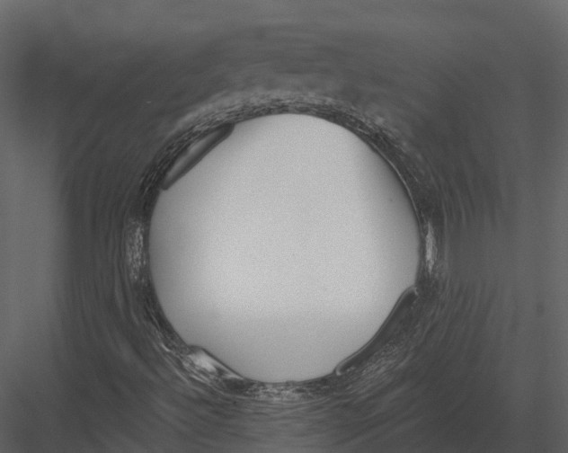 X0000082931492200702222205