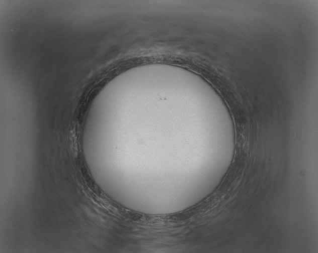 X0000082931493200702222205