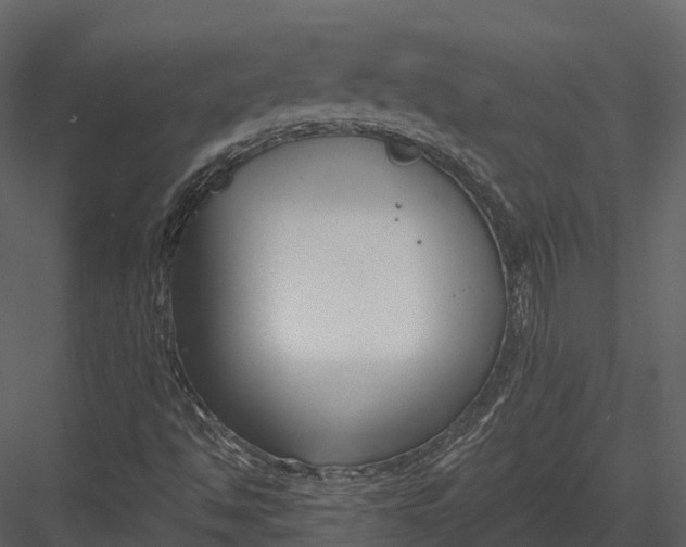 X0000082931494200702222205