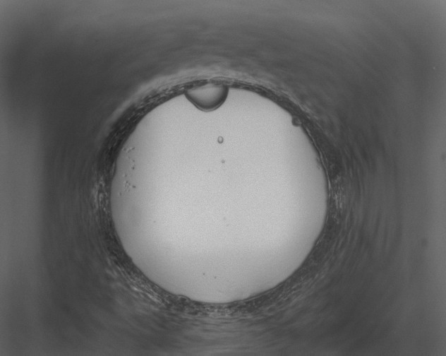 X0000082931495200702222205