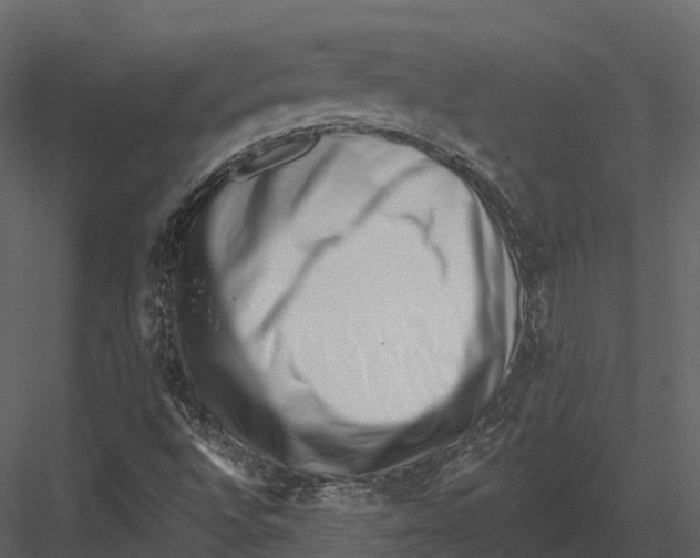 X0000082931496200702222205