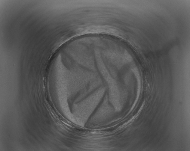 X0000082931497200702222205