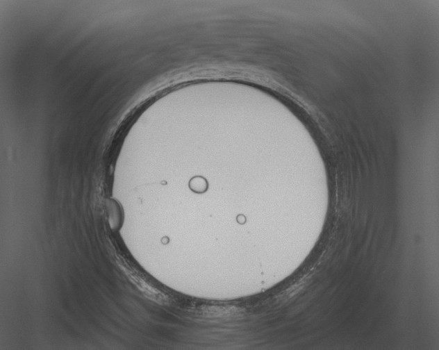 X0000082931498200702222205