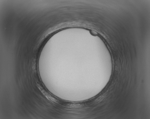 X0000082931499200702222205