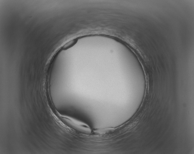 X0000082931500200702222205