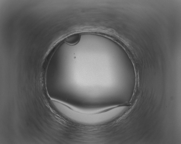 X0000082931501200702222205