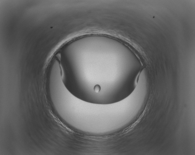 X0000082931502200702222205