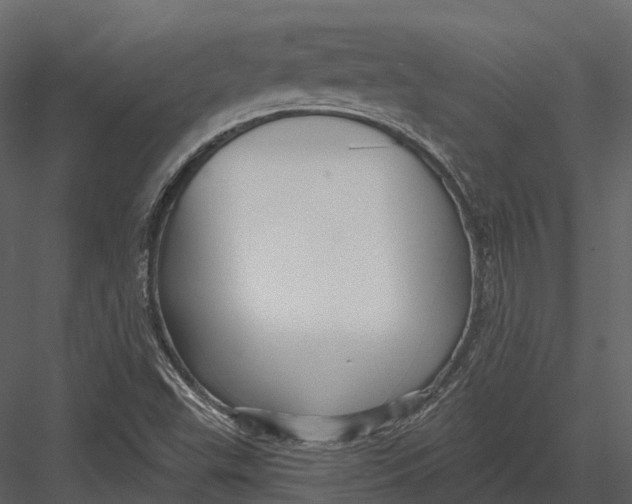 X0000082931503200702222205