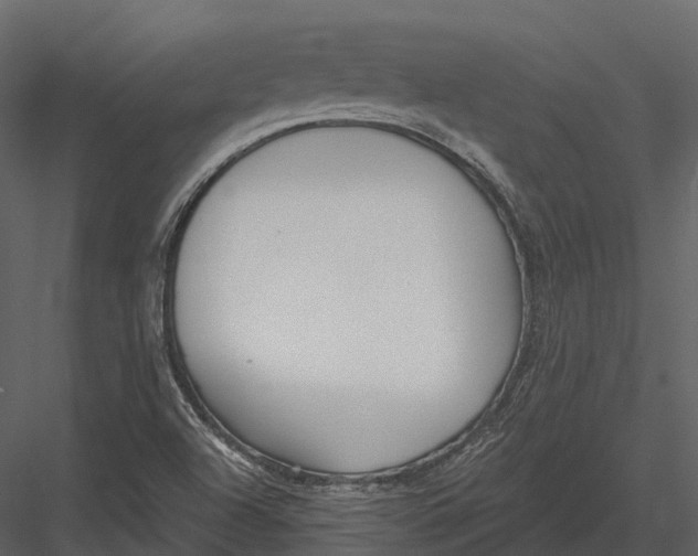 X0000082931504200702222206