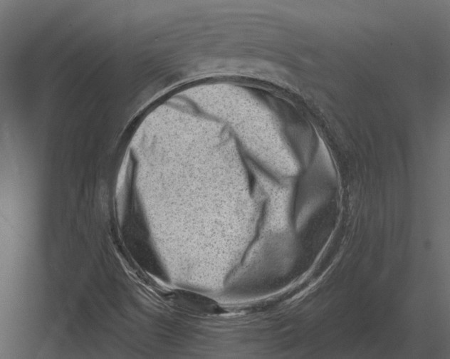 X0000082931505200702222206