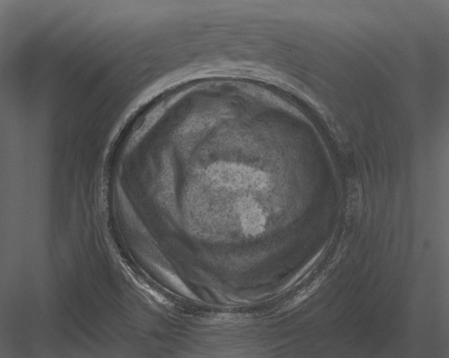 X0000082931506200702222206