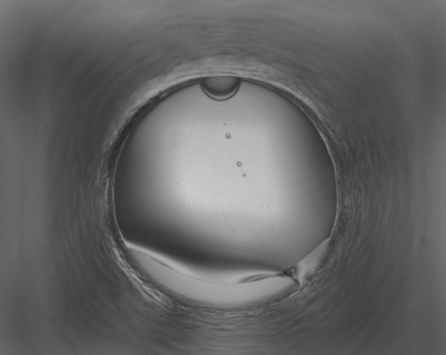 X0000082931507200702222206