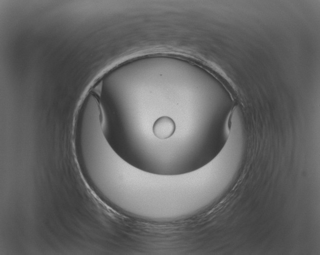 X0000082931508200702222206