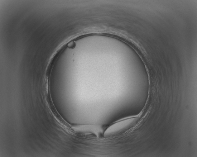 X0000082931509200702222206