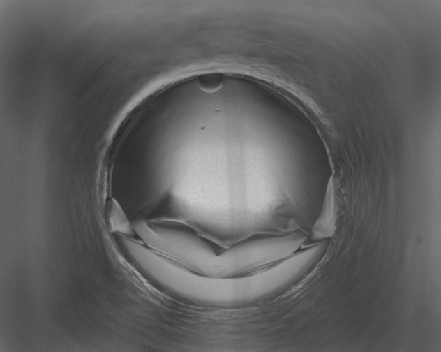 X0000082931510200702222206