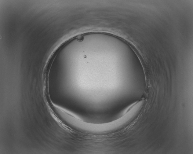 X0000082931511200702222206