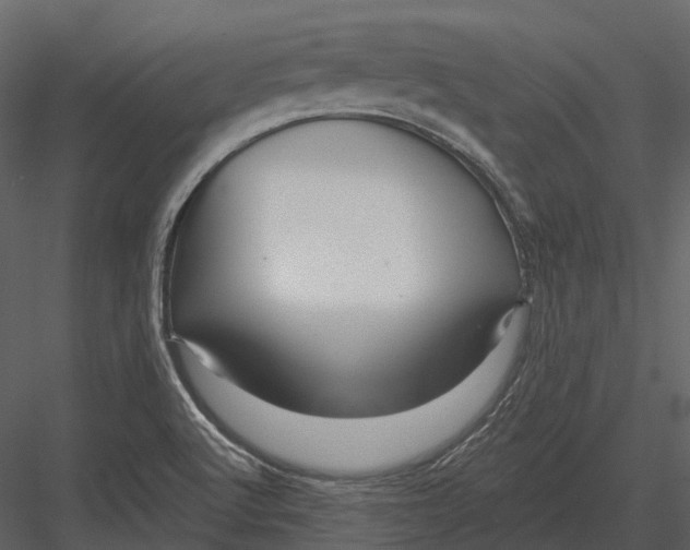 X0000082931512200702222206