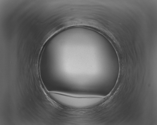 X0000082931513200702222206