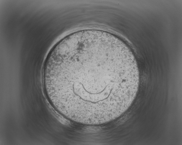 X0000082931514200702222206