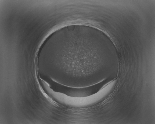 X0000082931515200702222206