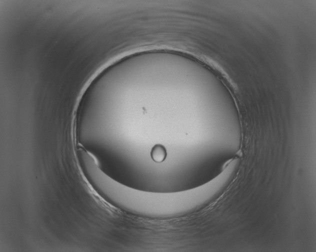 X0000082931516200702222206