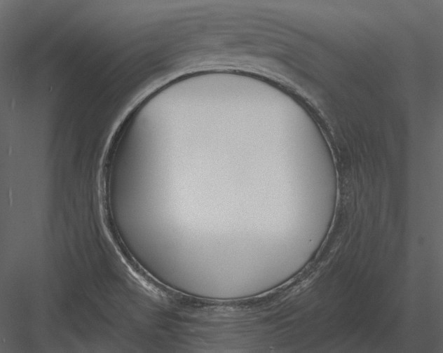 X0000082931517200702222206